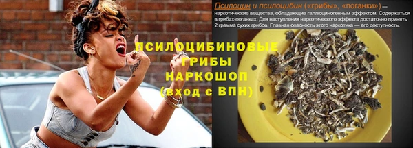 ECSTASY Медвежьегорск