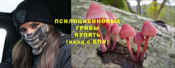 ECSTASY Медвежьегорск