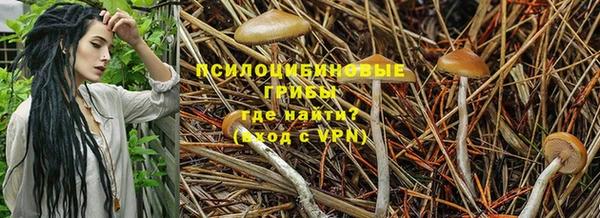 MDMA Premium VHQ Апатиты