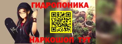 ГАЛЛЮЦИНОГЕННЫЕ ГРИБЫ Кинель