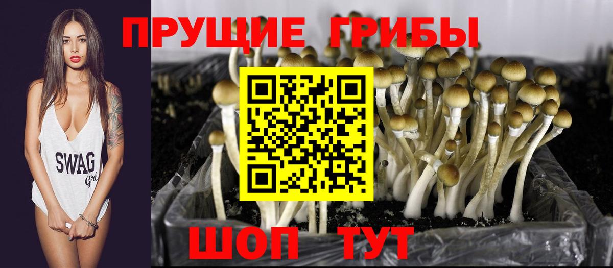 Псилоцибиновые грибы мицелий Нефтекамск